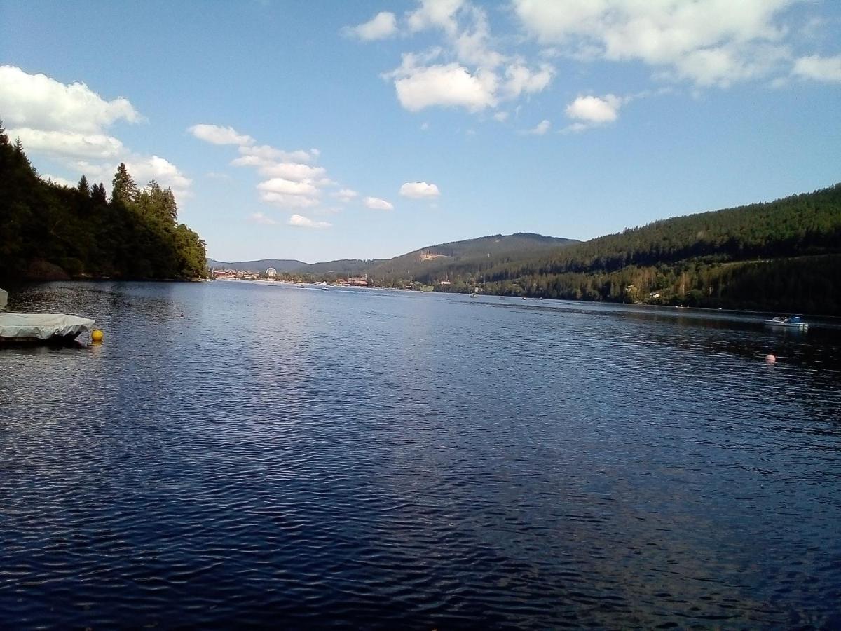 Schwarzwald - Villa Appartments Titisee Exterior foto