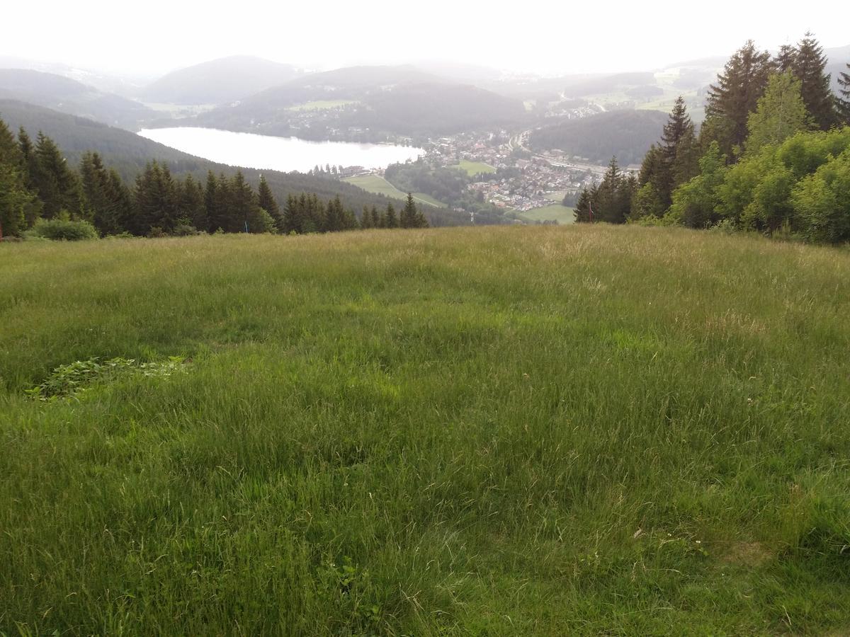 Schwarzwald - Villa Appartments Titisee Exterior foto